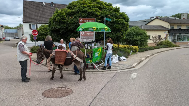 Auf ein grünes Eis!